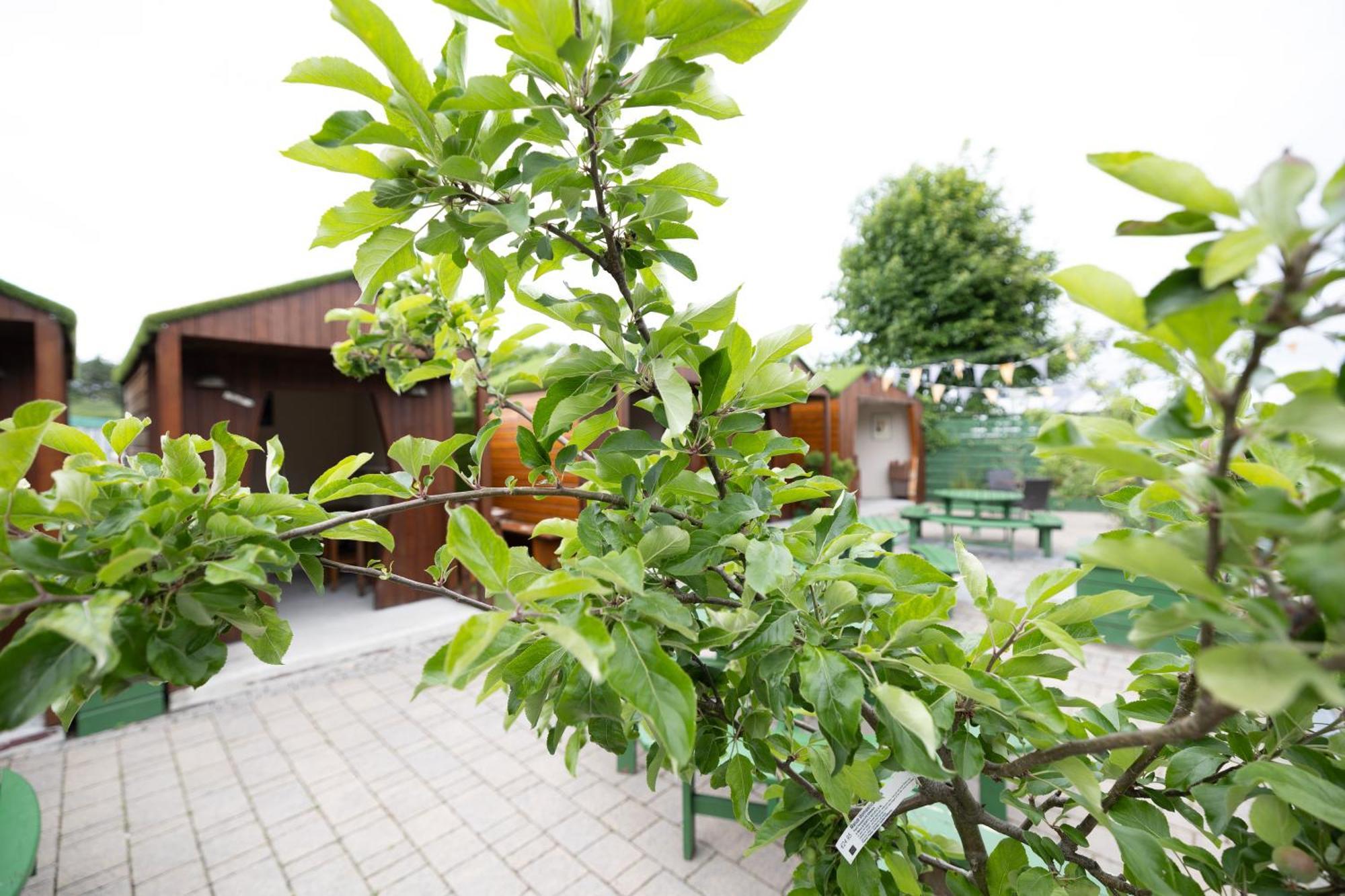 The Orchard House Hotel คิลเคนนี ภายนอก รูปภาพ